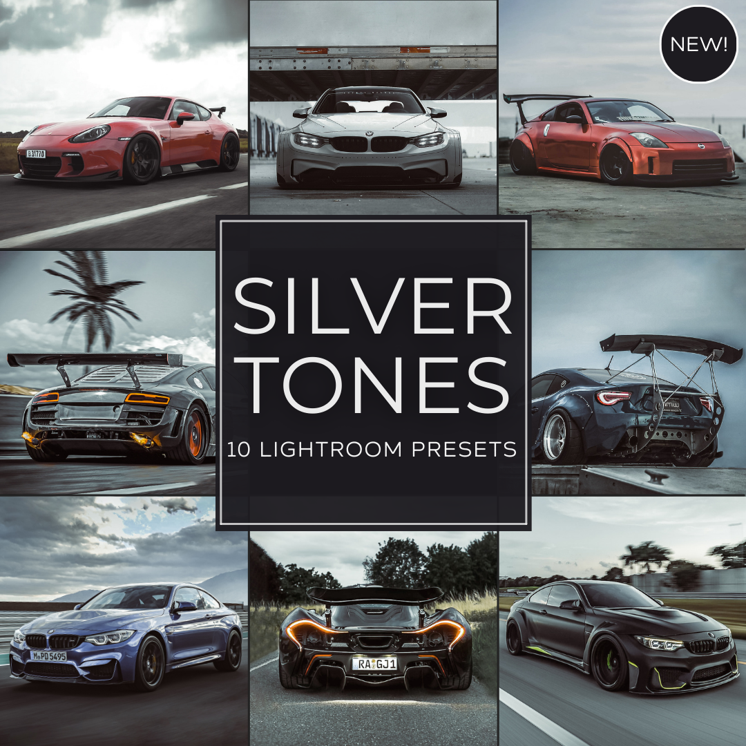 Silver Tones Lightroom Presets Pack